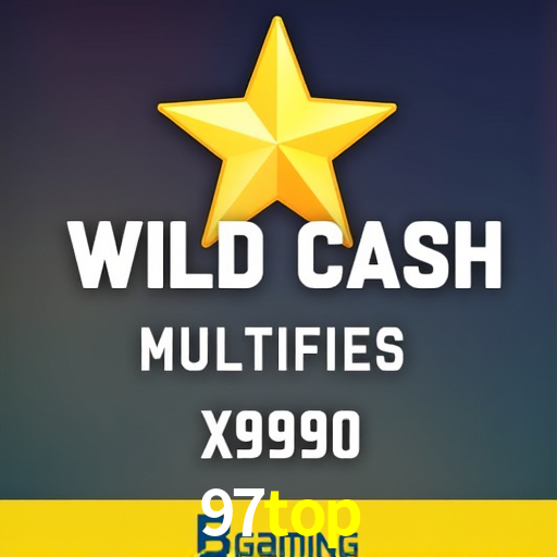 Experiência VIP 97top